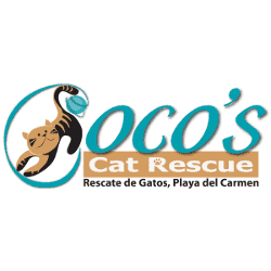 Coco's Cat Rescue